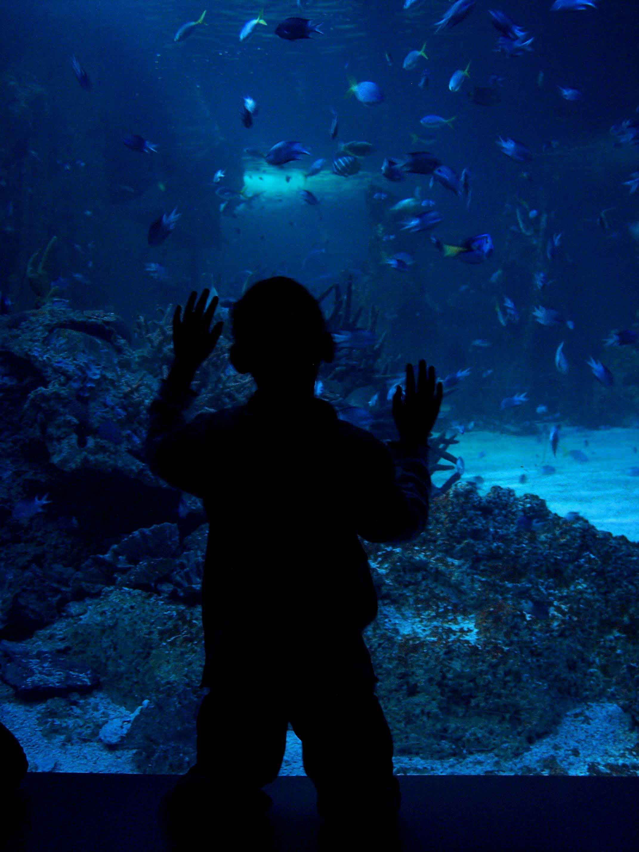 Fotografía por jmcgregor para DesignCrowd (Community Contests) | Diseño #9040870