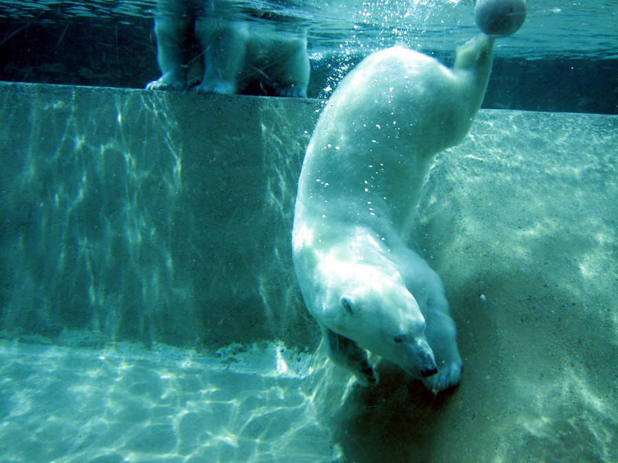 Photography by u2one1 for DesignCrowd (Community Contests) | Design #9040866