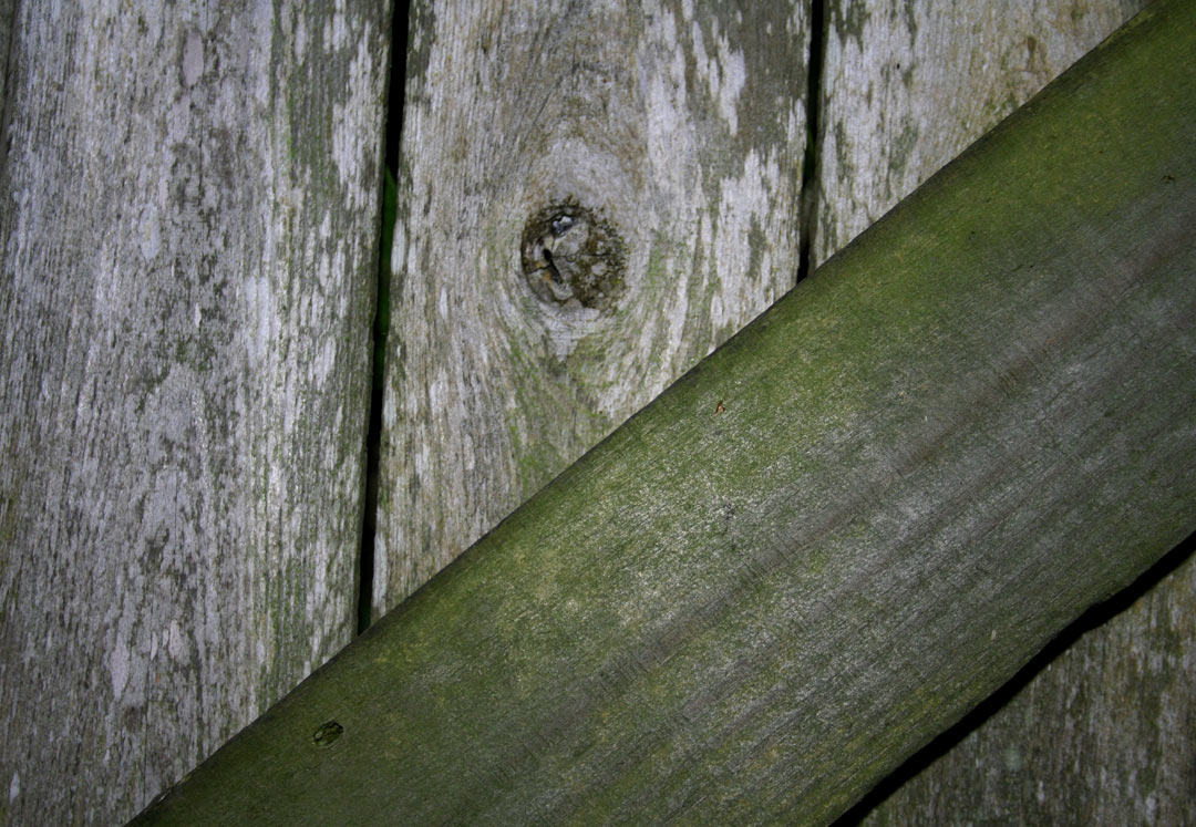 Photography by HeatherB for DesignCrowd (Community Contests) | Design #9046402