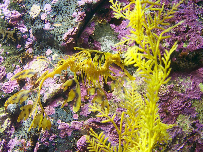 Fotografie von noblige für DesignCrowd (Community Contests) | Design #9040888