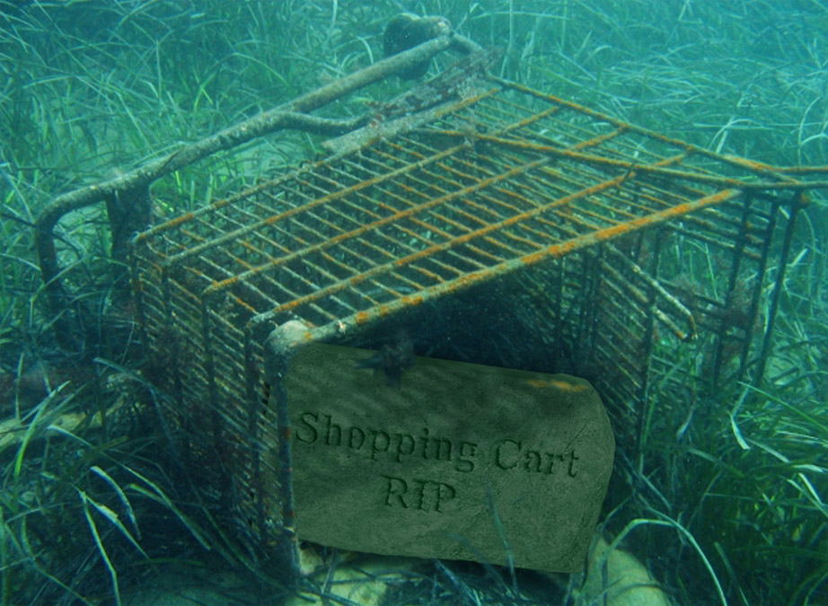 Diseño de Photoshop por EyEars para DesignCrowd (Community Contests) | Diseño #9036032