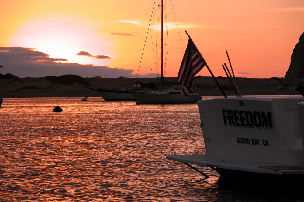 Photography by kingnaper for DesignCrowd (Community Contests) | Design #9045553