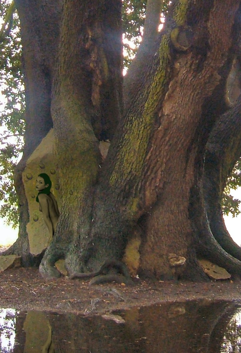 Photoshop Design by unstablefiend for DesignCrowd (Community Contests) | Design #9047331