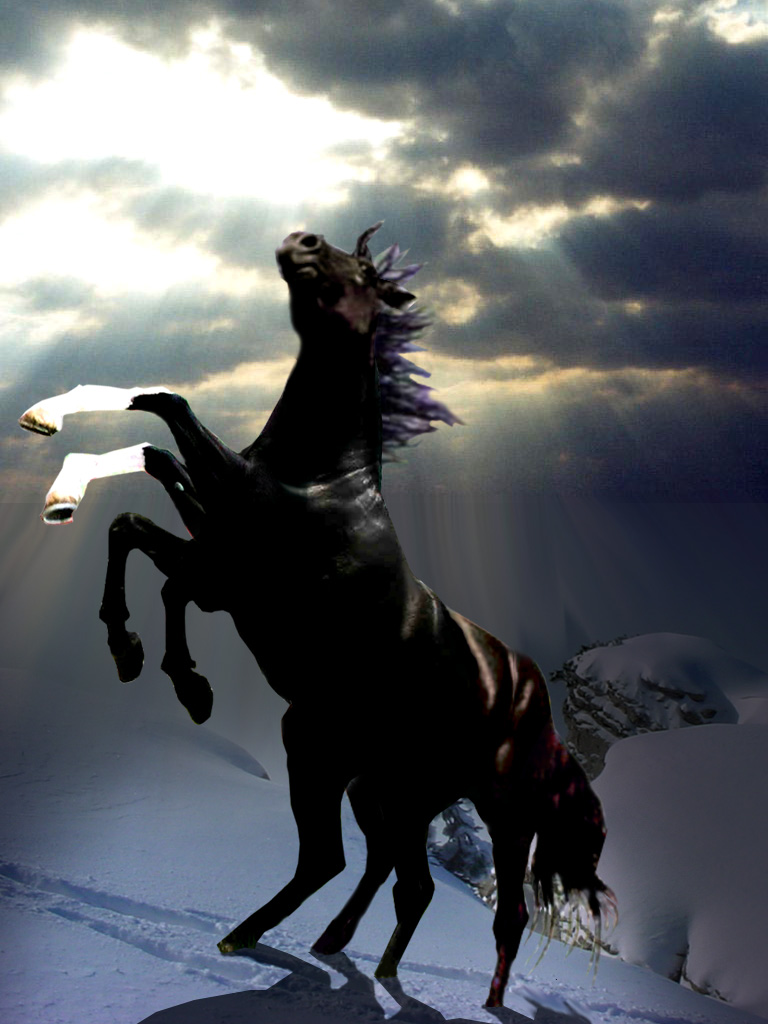 Diseño de Photoshop por shlumiel para DesignCrowd (Community Contests) | Diseño #9047325