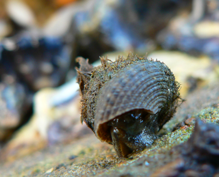 Fotografía por gymp93 para DesignCrowd (Community Contests) | Diseño #9040958