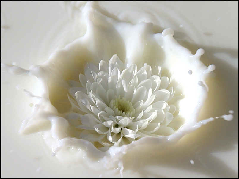 Photography by cl_UK for DesignCrowd (Community Contests) | Design #9045532