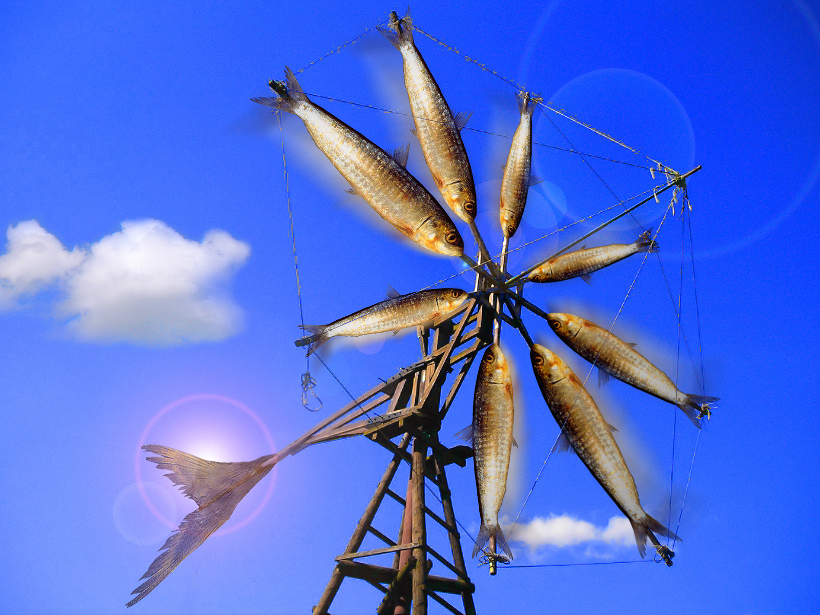 Photoshop Design by xenophoniac for DesignCrowd (Community Contests) | Design #9042901