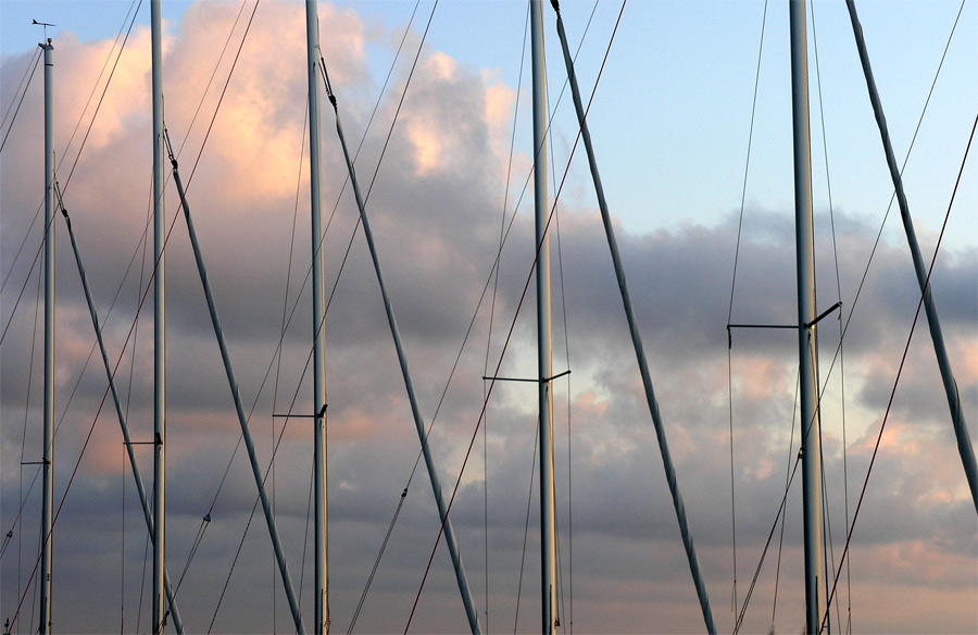 Photography by miarose59 for DesignCrowd (Community Contests) | Design #9046483