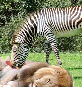 Diseño de Photoshop por Destinyzkid para DesignCrowd (Community Contests) | Diseño #9043186