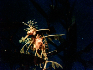 Photography by RemoteFran for DesignCrowd (Community Contests) | Design #9040980