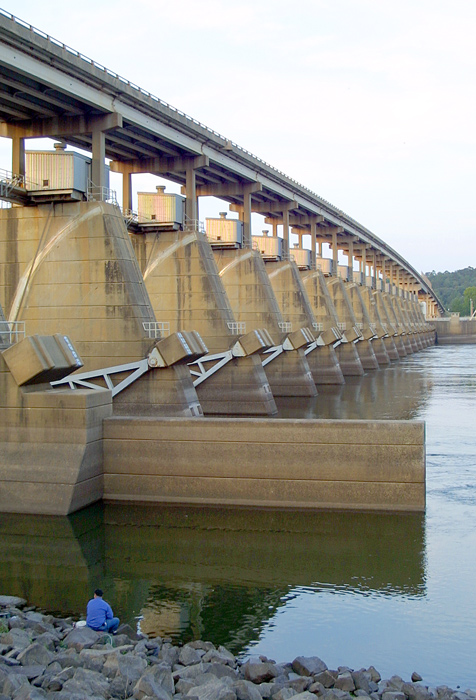 Fotografie von burns529 für DesignCrowd (Community Contests) | Design #9041383