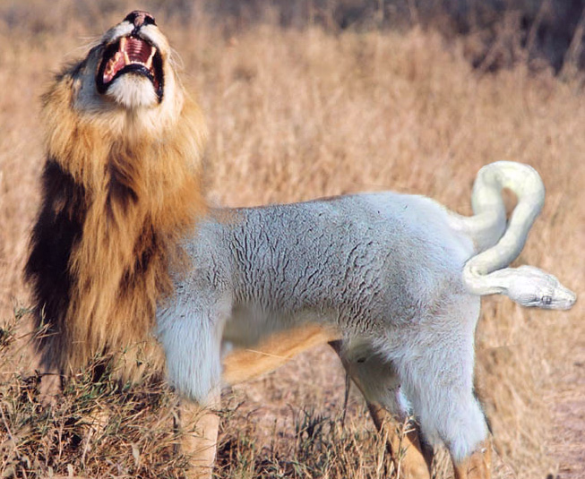 Photoshop Design by guerrero2684 for DesignCrowd (Community Contests) | Design #9047562