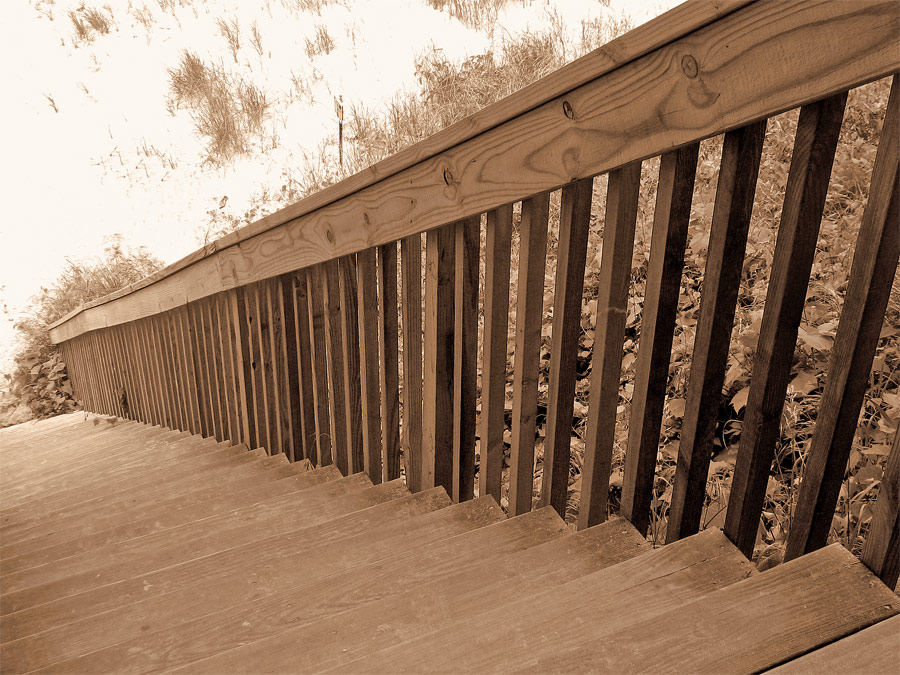 Photography by babydoll3410 for DesignCrowd (Community Contests) | Design #9046640