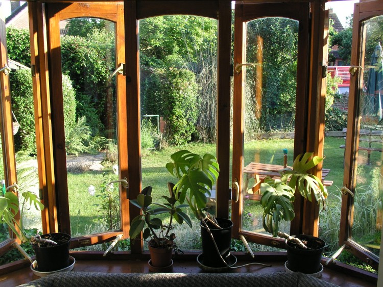 Fotografía por Spudley99 para DesignCrowd (Community Contests) | Diseño #9043386