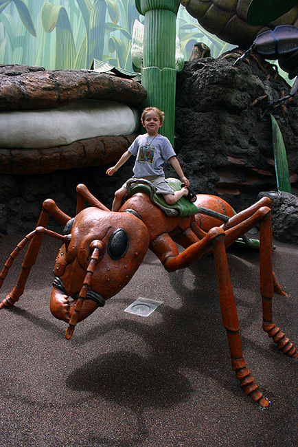 Fotografía por zsandra para DesignCrowd (Community Contests) | Diseño #9041425