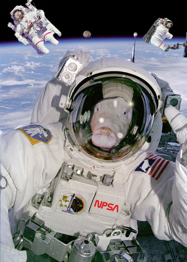 Photoshop Design by Calaveras for DesignCrowd (Community Contests) | Design #9043472