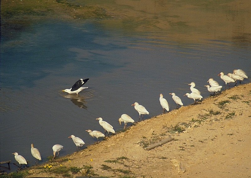 Fotografía por photothinker para DesignCrowd (Community Contests) | Diseño #9046653