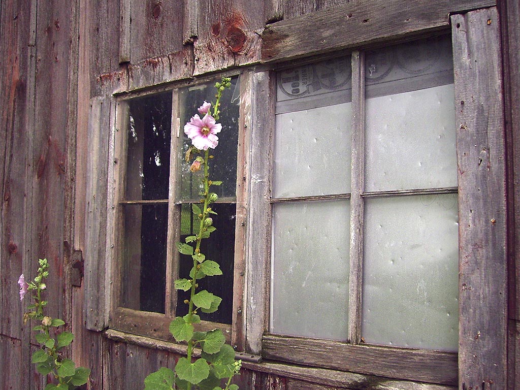 Photography by revdave33 for DesignCrowd (Community Contests) | Design #9043435