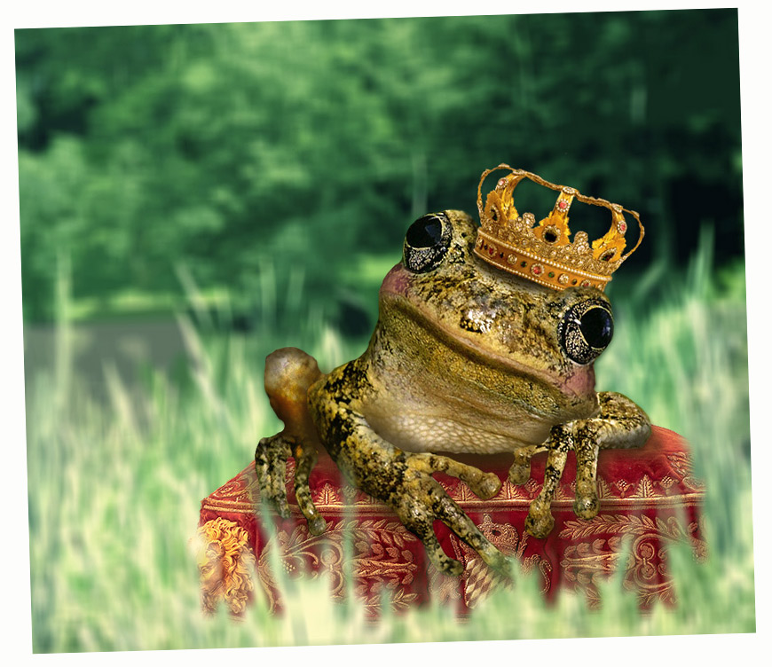 Photoshop Design by claudia__ for DesignCrowd (Community Contests) | Design #9048109