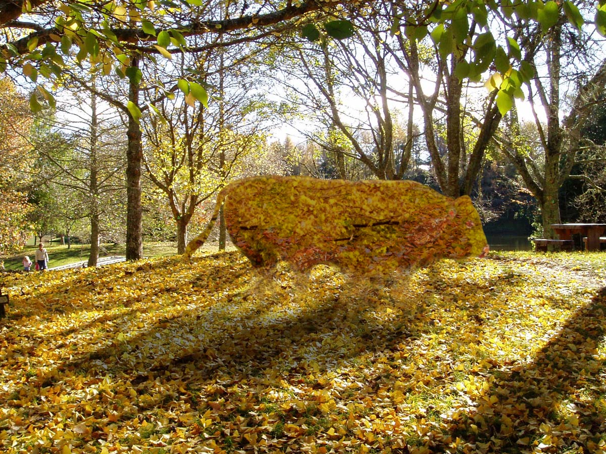 Photoshop Design by dadrak for DesignCrowd (Community Contests) | Design #9041123