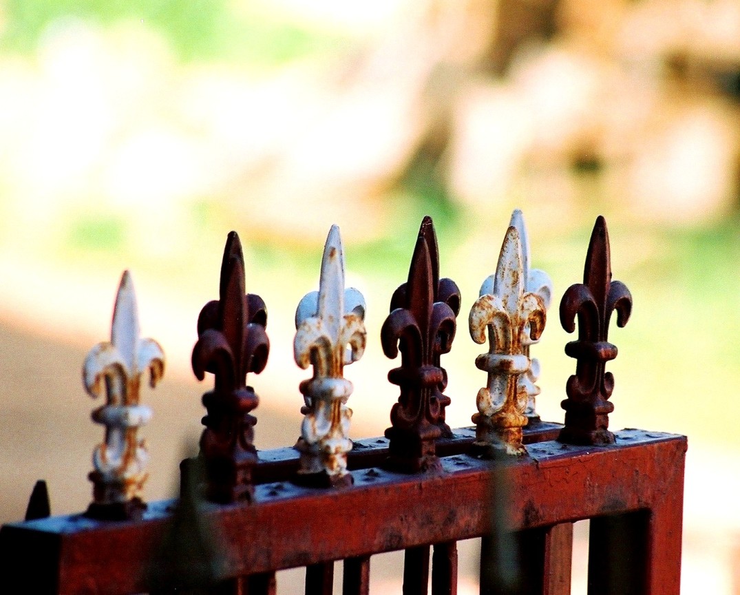 Photography by kalyangantait for DesignCrowd (Community Contests) | Design #9046642