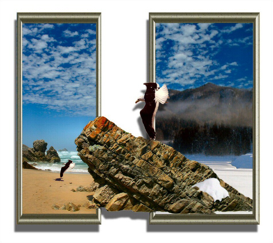 Fotografie von Juicer für DesignCrowd (Community Contests) | Design #9046434