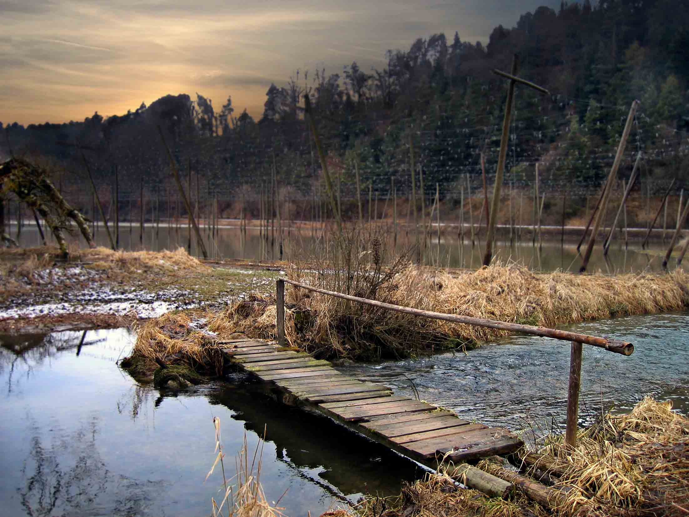 Photographie par elchkuh pour DesignCrowd (Community Contests) | Design #9046724