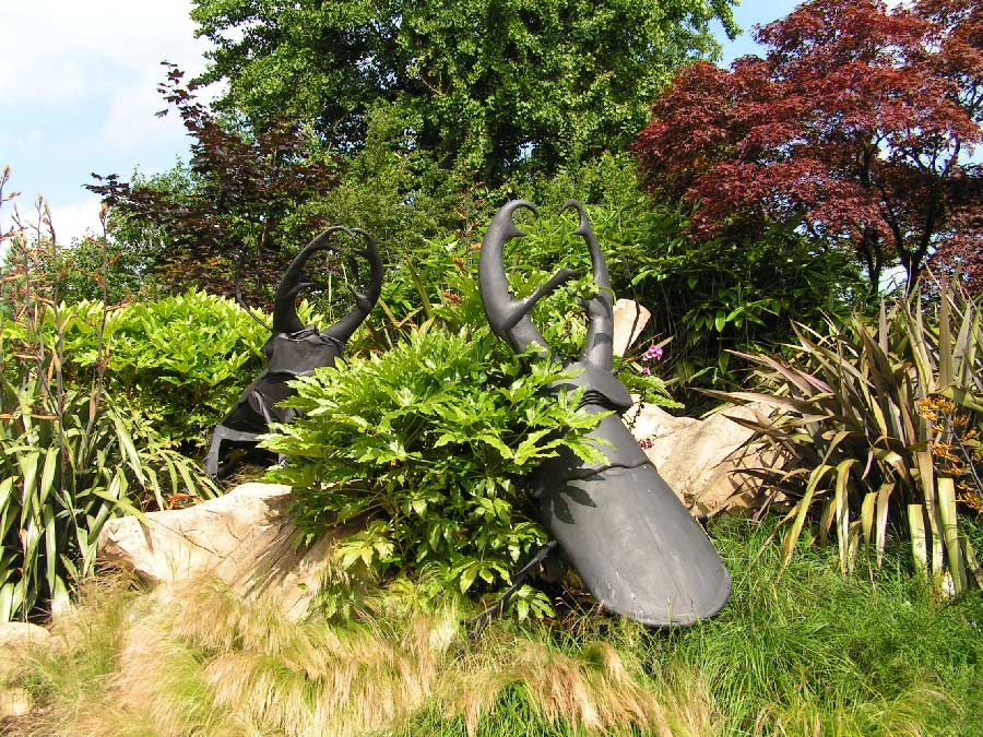 Fotografie von bobblainey für DesignCrowd (Community Contests) | Design #9041397