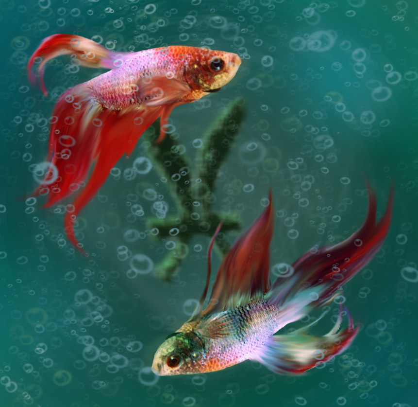 Photoshop Design by claudia__ for DesignCrowd (Community Contests) | Design #9041136