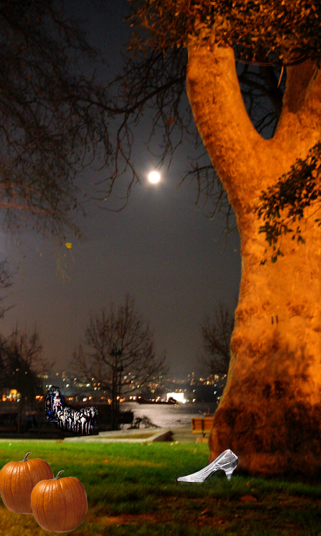 Photoshop-Design von dfwsusan für DesignCrowd (Community Contests) | Design #9048133