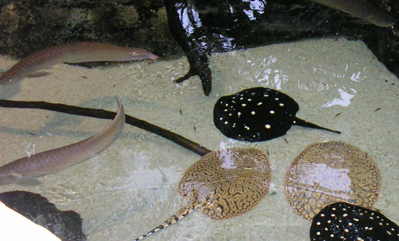 Photographie par shellss11 pour DesignCrowd (Community Contests) | Design #9040925