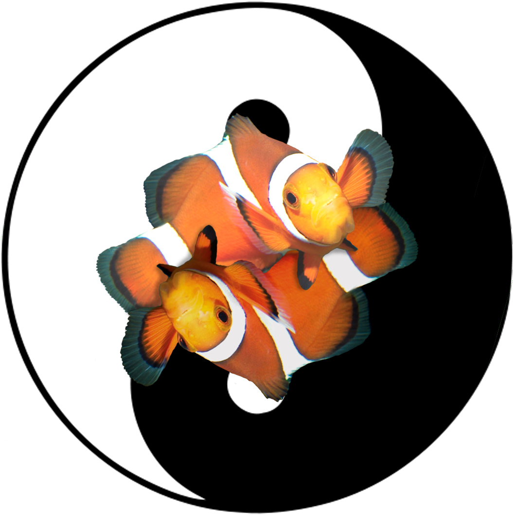 Photoshop-Design von ParasiteDemon für DesignCrowd (Community Contests) | Design #9041188