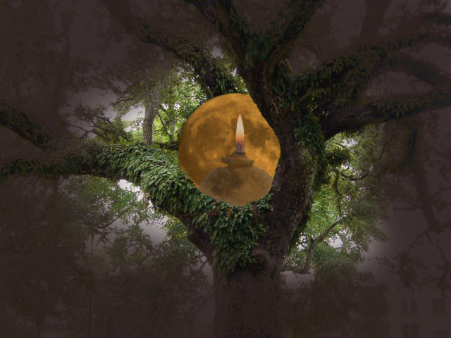 Photoshop Design by bizabeth for DesignCrowd (Community Contests) | Design #9048157