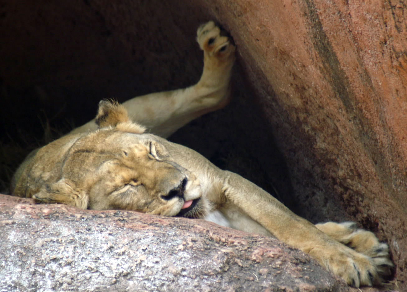 Photography by DebCam for DesignCrowd (Community Contests) | Design #9046678