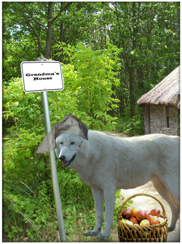 Photoshop Design by tarpan11 for DesignCrowd (Community Contests) | Design #9048148