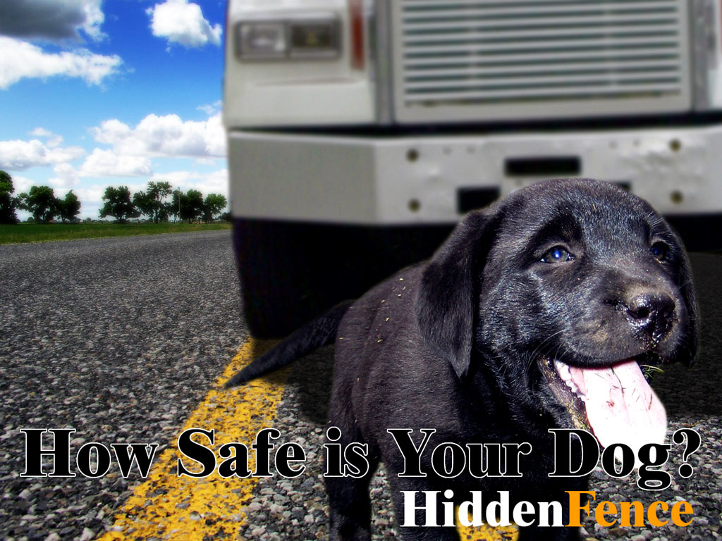 Photoshop Design by mortalwombat for DesignCrowd (Community Contests) | Design #9046385