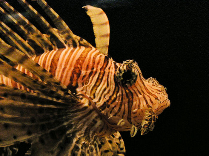 Photography by Ataxia for DesignCrowd (Community Contests) | Design #9041051