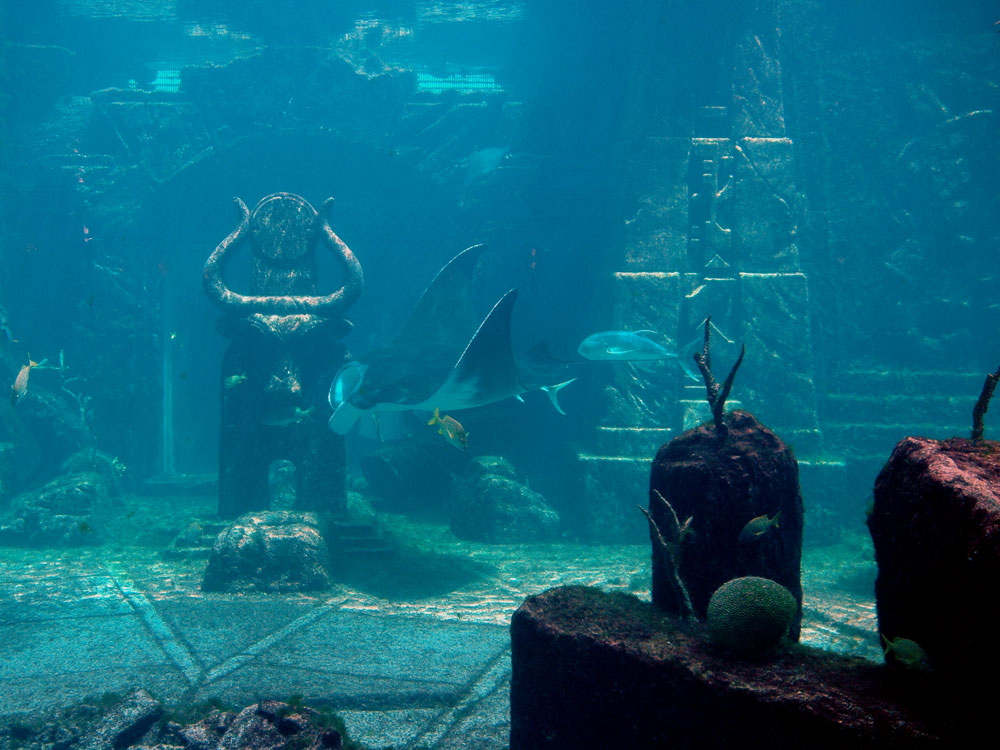 Fotografía por Jawizza para DesignCrowd (Community Contests) | Diseño #9040989