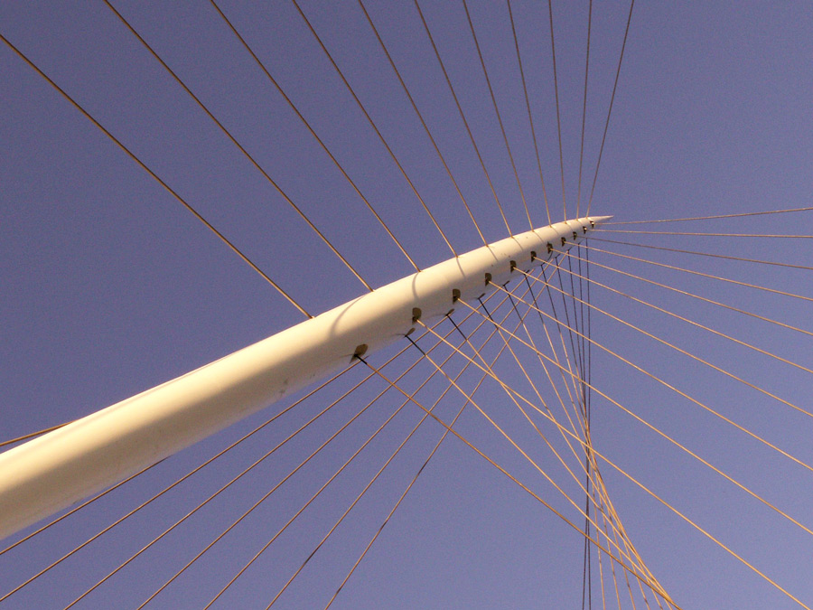 Photography by Halkatla for DesignCrowd (Community Contests) | Design #9046667