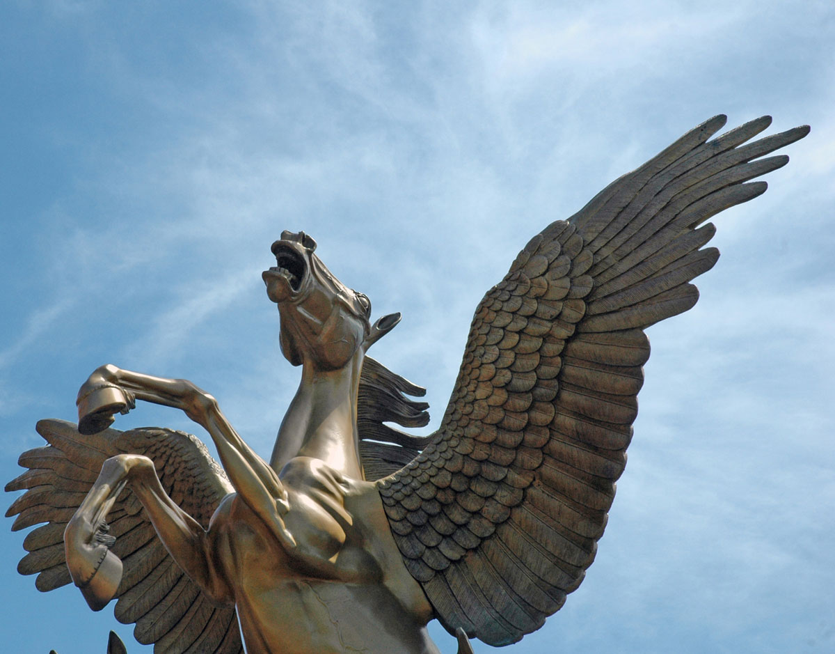 Photography by Jawizza for DesignCrowd (Community Contests) | Design #9046532