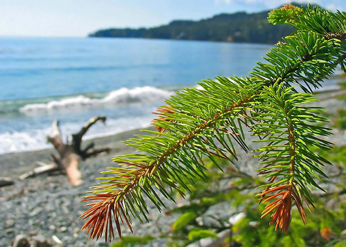 Photography by pmgrah for DesignCrowd (Community Contests) | Design #9046812