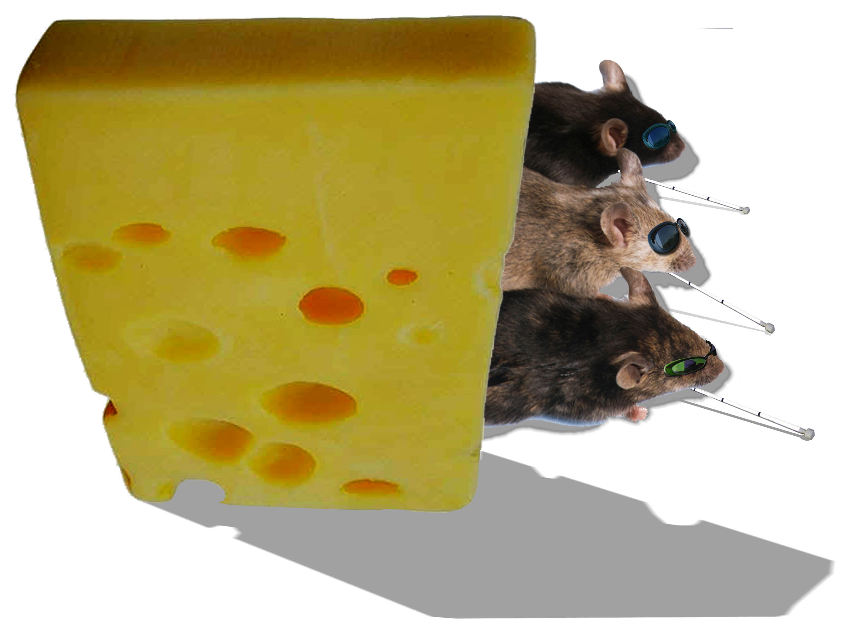 Diseño de Photoshop por shlumiel para DesignCrowd (Community Contests) | Diseño #9048288