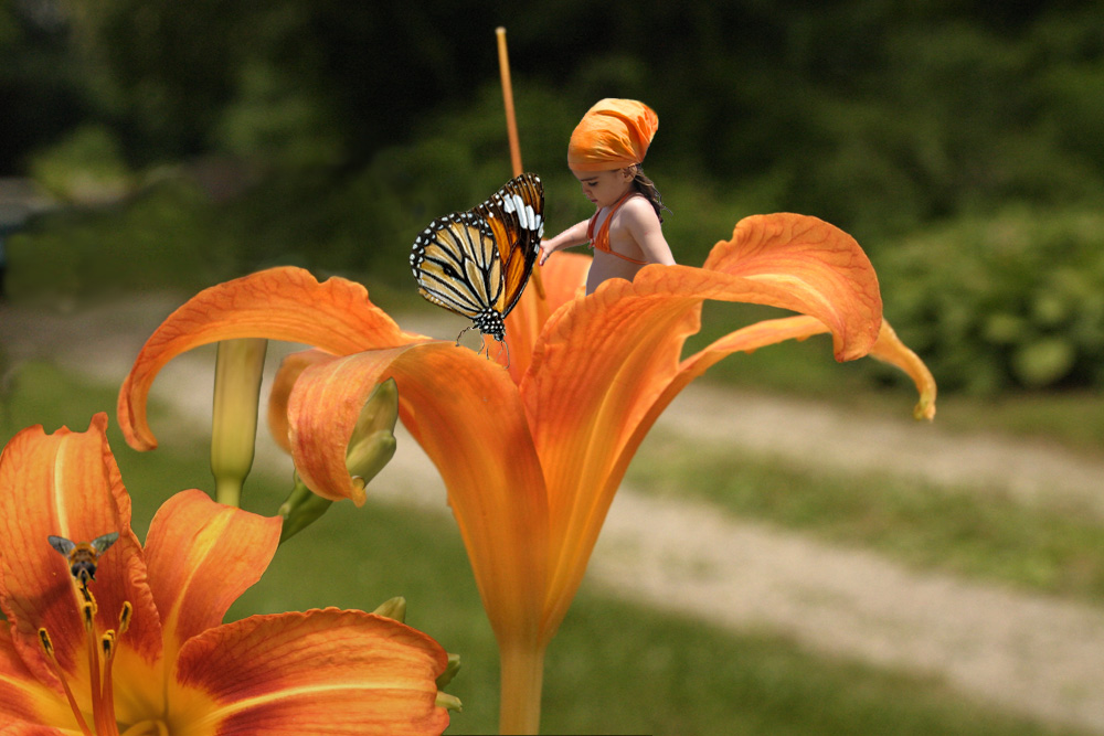 Design Photoshop par siennablue pour DesignCrowd (Community Contests) | Design #9048261