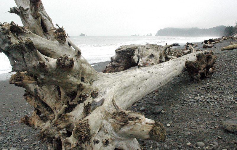 Photography by MisterSir for DesignCrowd (Community Contests) | Design #9046787