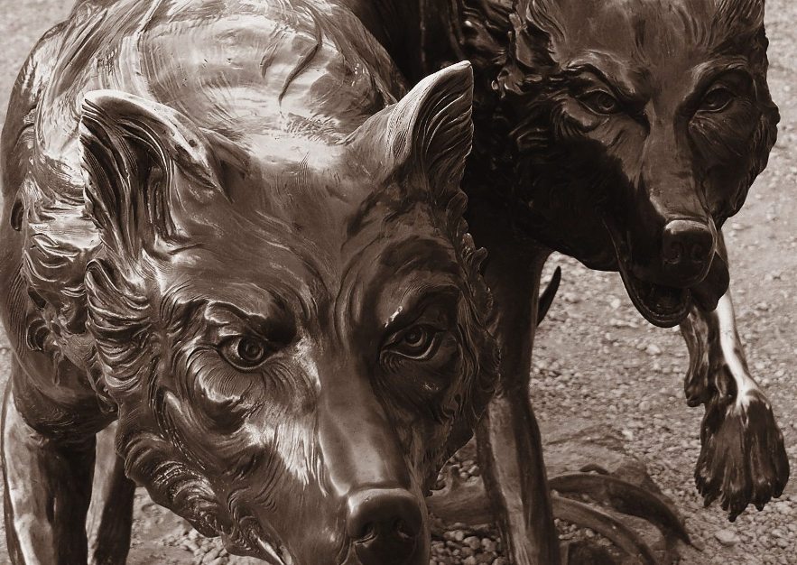 Photography by mennufer for DesignCrowd (Community Contests) | Design #9046764