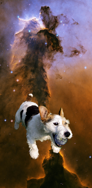 Photoshop-Design von velde046 für DesignCrowd (Community Contests) | Design #9037254