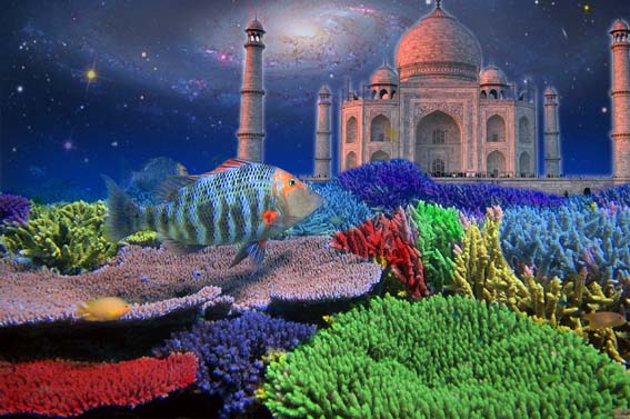 Photoshop Design by Jameschez15 for DesignCrowd (Community Contests) | Design #9037279