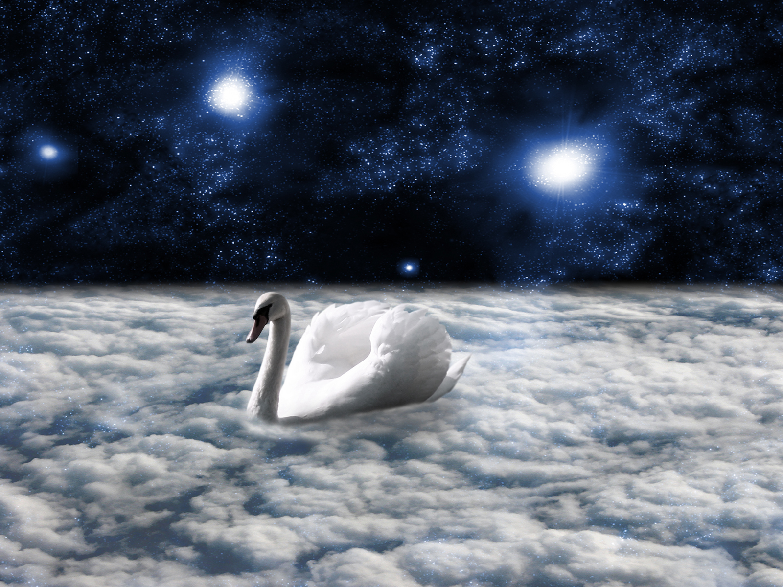 Diseño de Photoshop por chevac para DesignCrowd (Community Contests) | Diseño #9037288