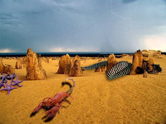 Photoshop-Design von dfwsusan für DesignCrowd (Community Contests) | Design #9037304