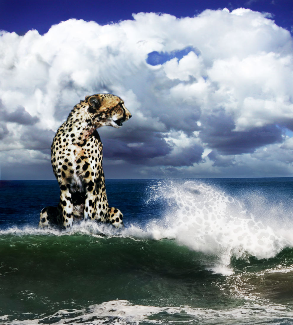 Photoshop Design by GoldenWreckedAngle for DesignCrowd (Community Contests) | Design #9037383